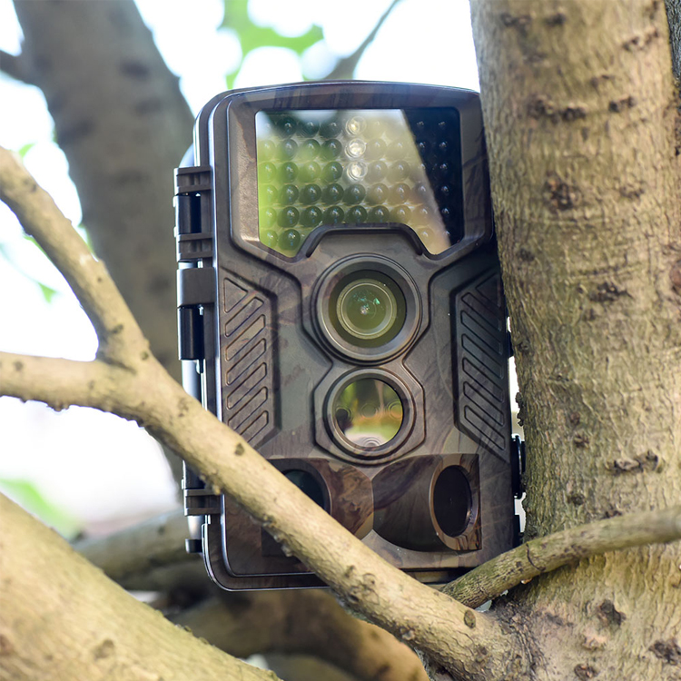 Trail Camera